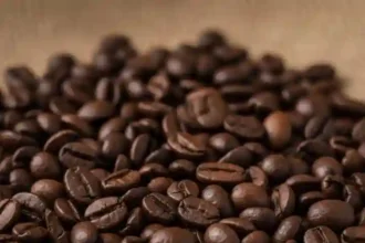 Starbucks Store Closures